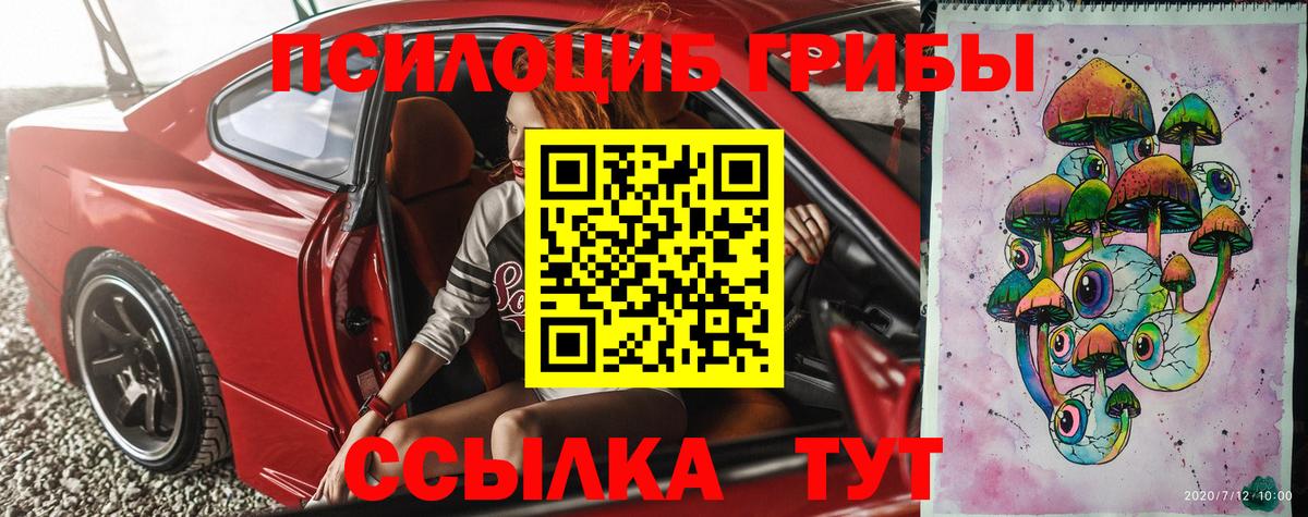 Галлюциногенные грибы Psilocybe  Вход с VPN  Унеча 